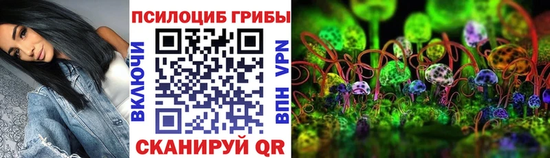 Галлюциногенные грибы мицелий  где можно купить наркотик  Донской 